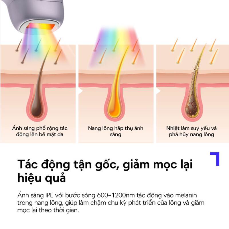 M&aacute;y Triệt L&ocirc;ng tại nh&agrave; IPL LocknLock Ice Cooling, 9 Mức Năng Lượng, Bước S&oacute;ng 600-1200nm, M&agrave;n H&igrave;nh LCD, Chế Độ Tự Động - ENC311PUP, , large image number null